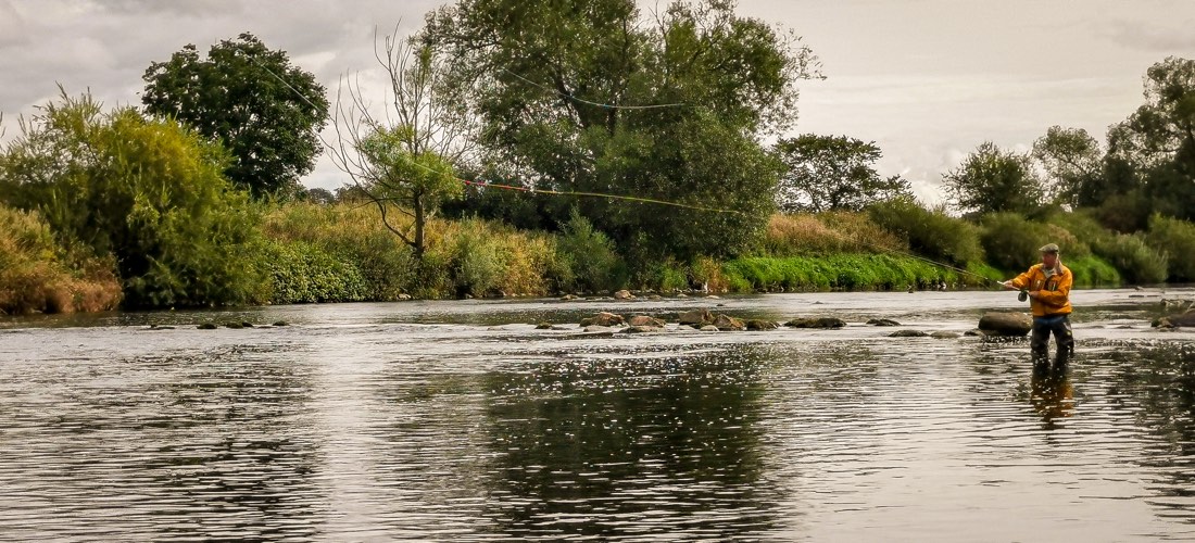 Low water salmon fishing, River Eden