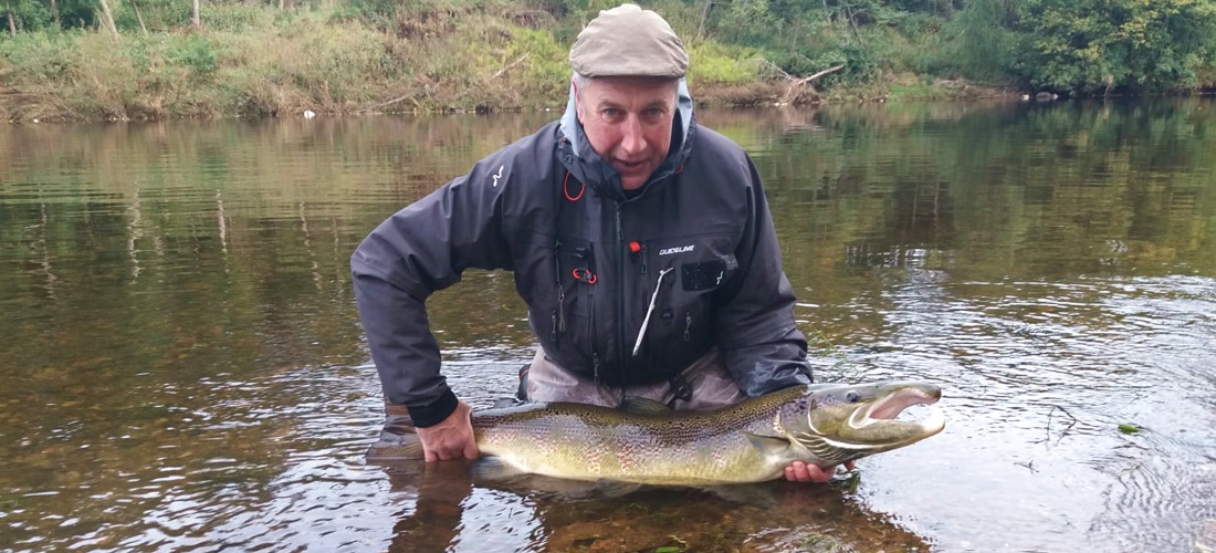 River Eden Salmon
