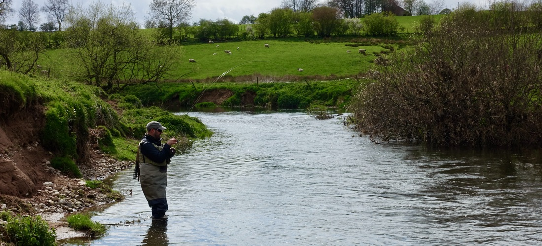 Trout Fishing - River Lyvennet